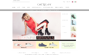 Il sito online di Cartechini
