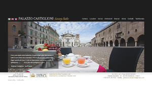 Il sito online di Palazzo Castiglioni Mantova