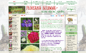 Il sito online di Floriana bulbose