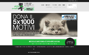 Il sito online di Gatto con gli stivali