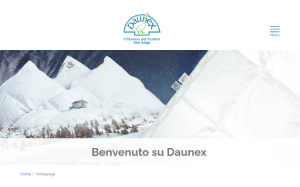 Il sito online di Daunex
