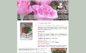 Il sito online di Patrucco vivaio rose
