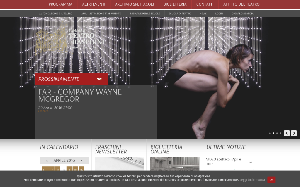 Il sito online di Teatro Fraschini