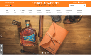 Il sito online di Spirit Academy