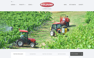 Il sito online di Goldoni