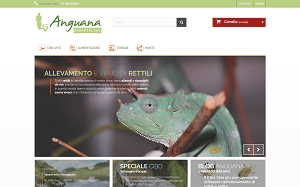 Il sito online di Anguana