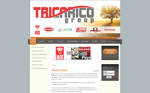 Il sito online di Tricarico Group