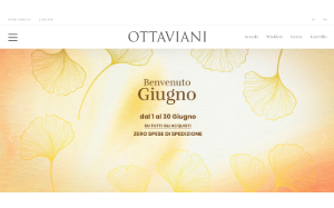 Il sito online di Ottaviani