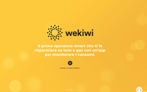 Il sito online di Wekiwi
