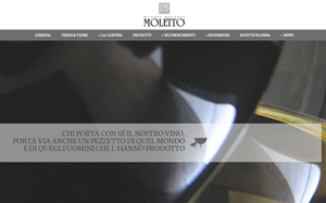 Il sito online di Moletto