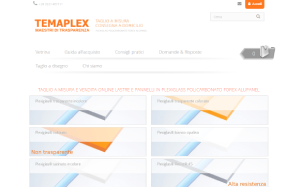 Il sito online di Temaplex