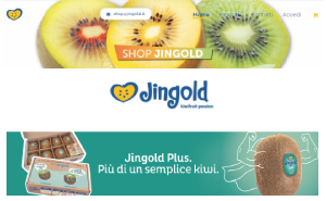 Il sito online di Jingold