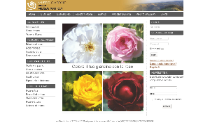 Il sito online di Museo delle Rose Antiche