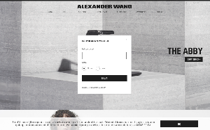 Il sito online di Alexander Wang